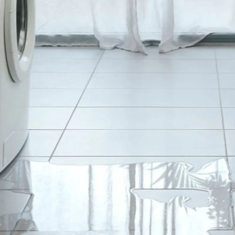 Appliance Leak Cleanup in Wimauma, FL